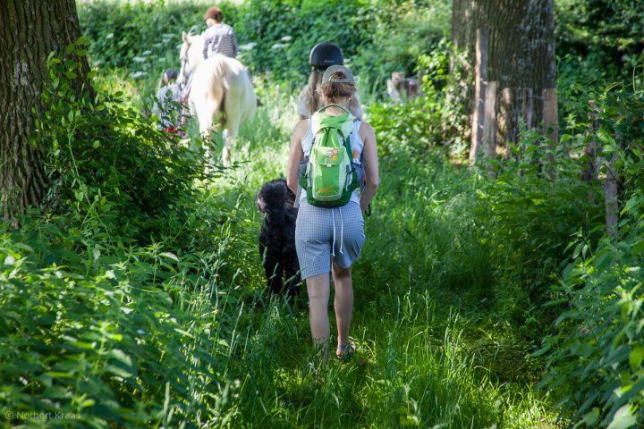 Wandern
