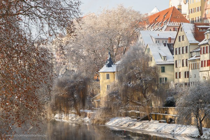Buchhandlung_Wekenmann_Advent_Foto_Corinna_Kern20221218_CK_7681_
